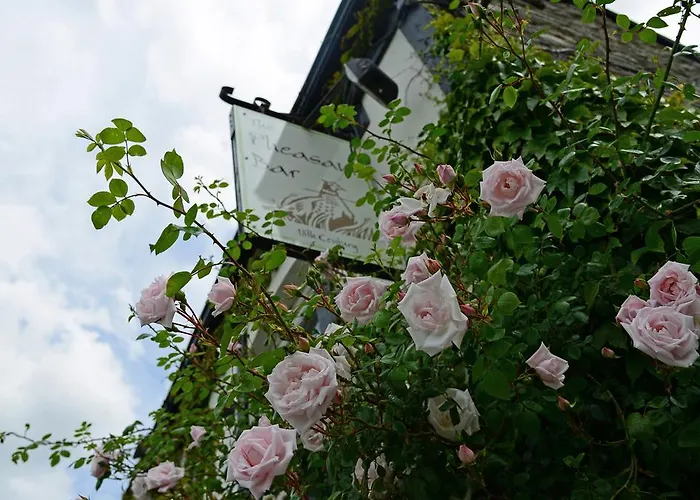 Glyn Ceiriog Hotels