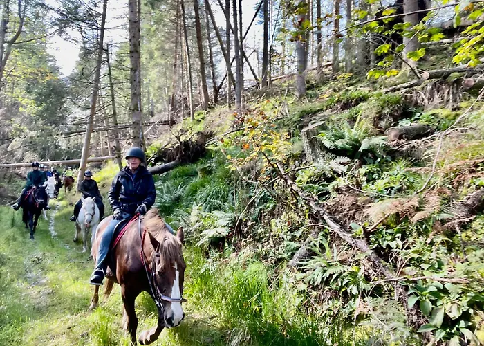 Scottish Equi B&B Lanark