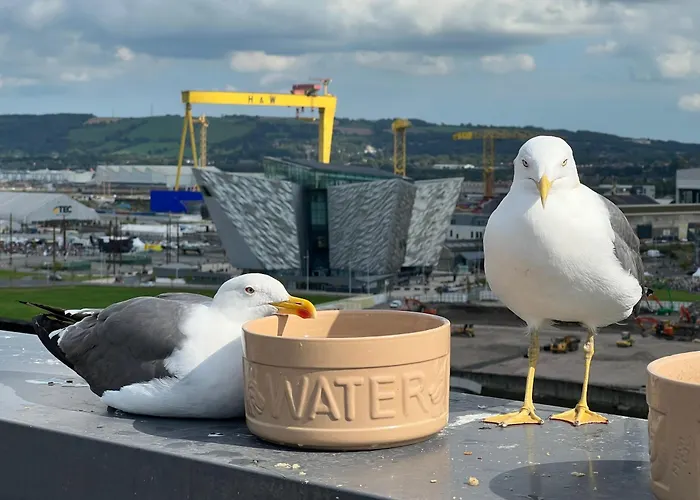 Loughview Bed & Breakfast Belfast