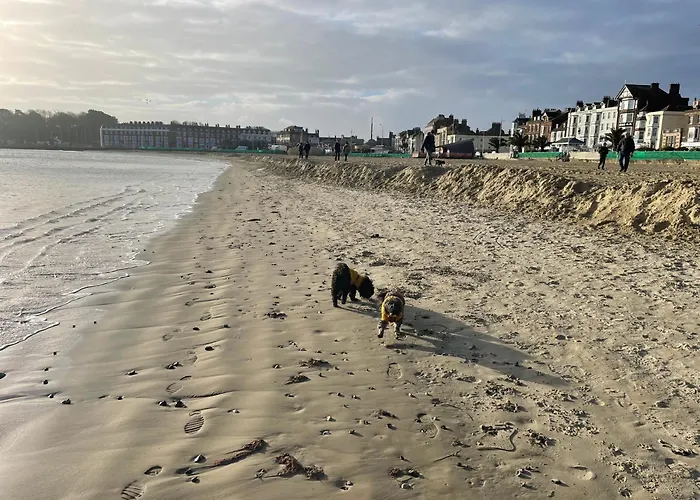 The Ocean Guest House Weymouth