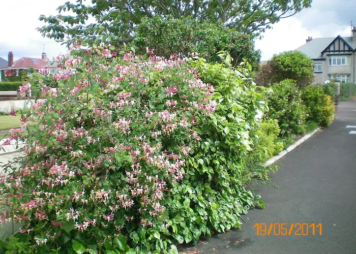 Aaranmore Lodge Guest House Portrush