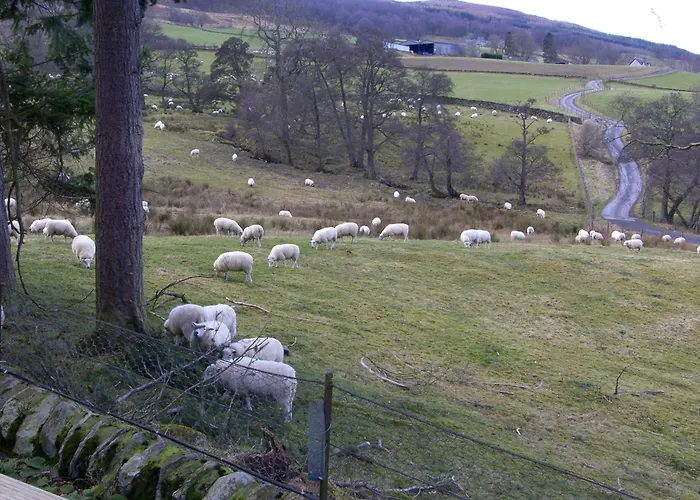 Brae House Bed & Breakfast Aberfeldy
