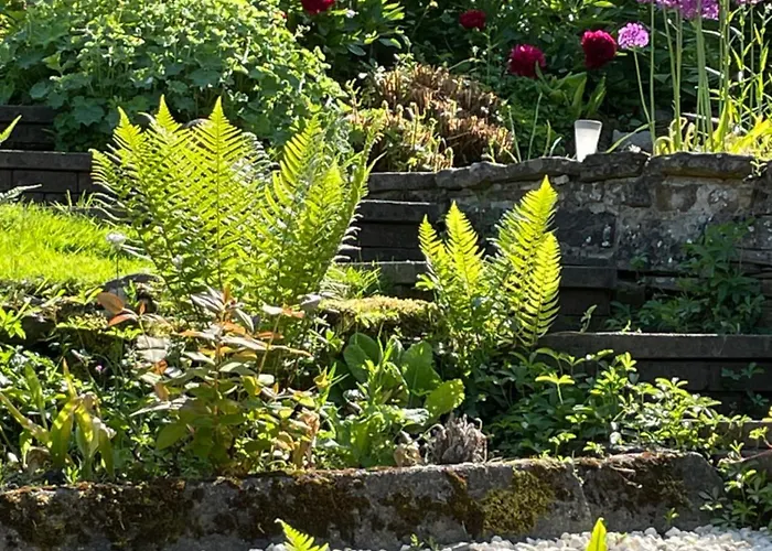 Ellen House Bed And Breakfast Matlock 