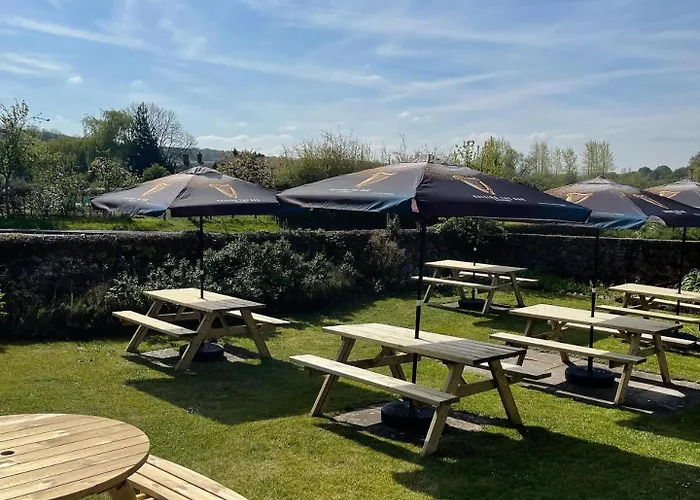 Bere Regis Hotels