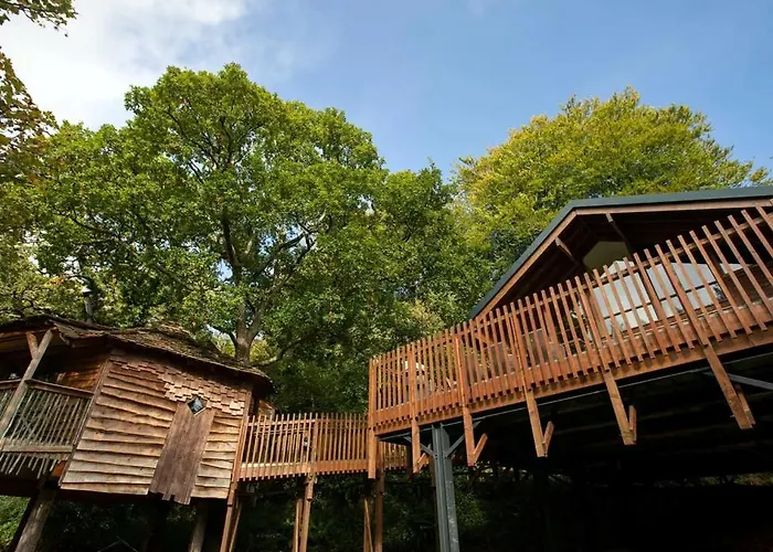 Keldy Forest Cabins - Forest Holidays Pickering