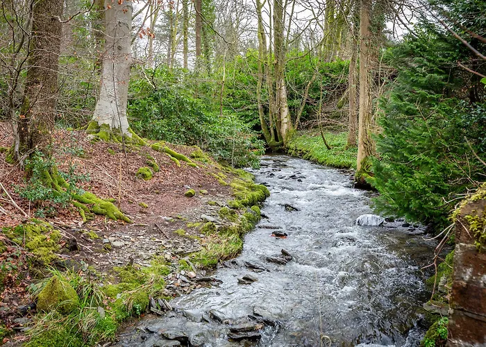 Glencree Bed & Breakfast Windermere