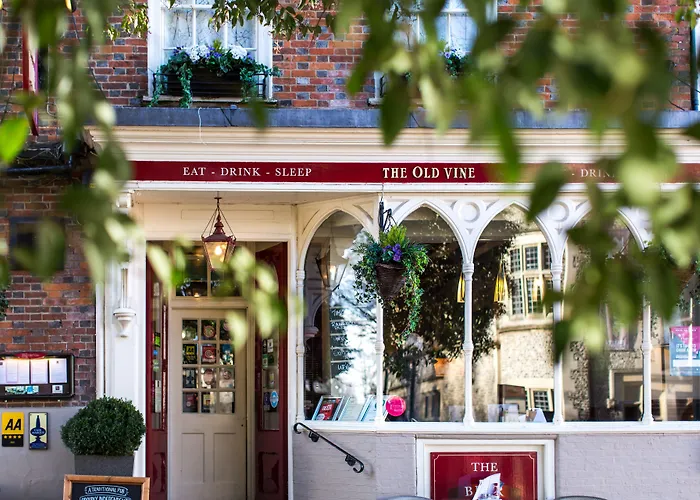 Hotel The Old Vine Winchester