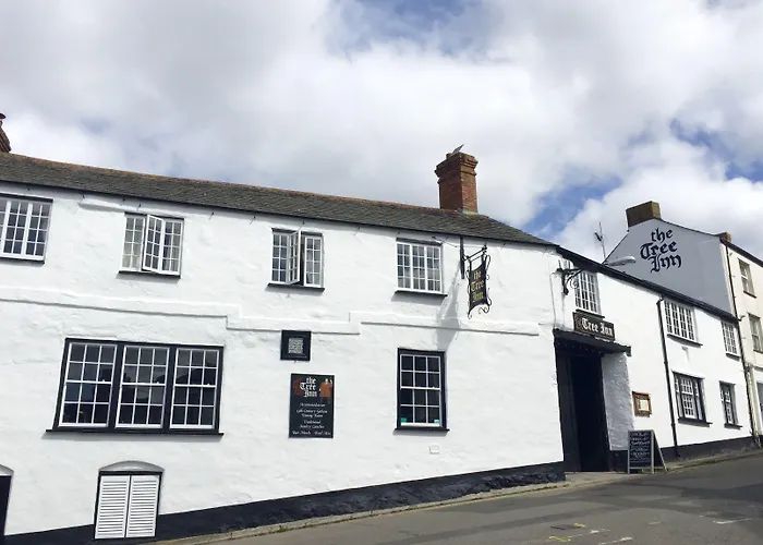 The Tree Inn Bude