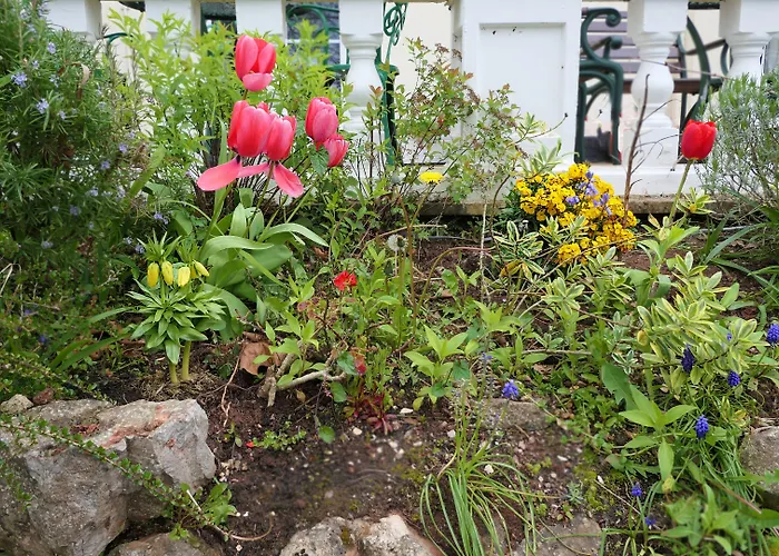 Fleurie Guest House Torquay