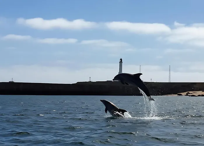 Private Aberdeen Lighthouse Cottages - Coastal, Dolphins