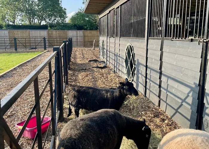 Private Willow Court Farm Studio East & Petting Farm, 8 Mins To Legoland & Windsor, 15 Mins To Lapland Uk
