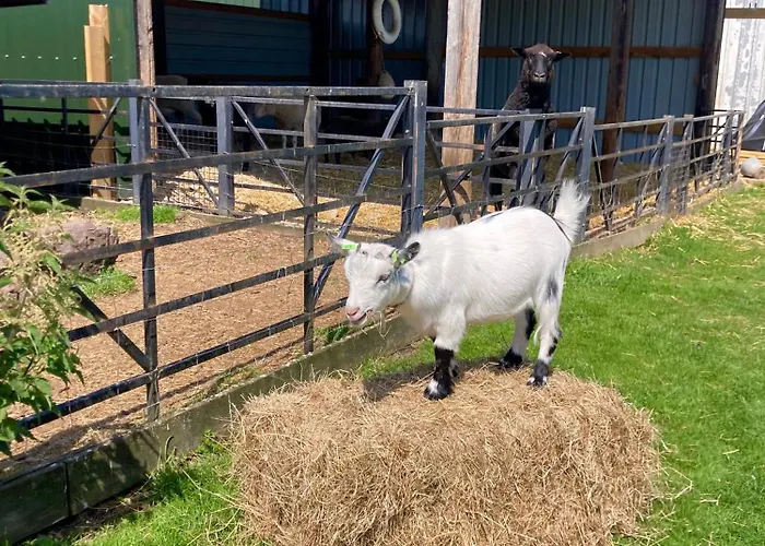 Willow Court Farm-Studio North & Petting Farm, 8 Mins From Legoland & Windsor, 15 Mins From Lapland Uk