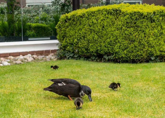 Daresbury Park Hotel
