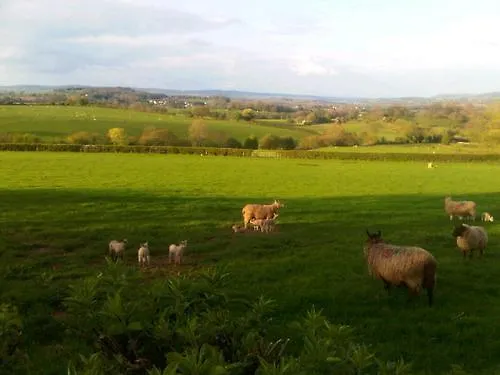 The Draen Bed And Breakfast Brecon