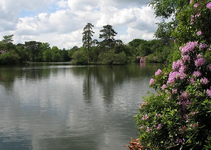 California Chalet & Touring Park Wokingham