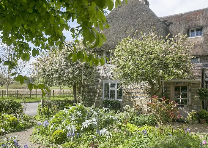 Tudor Cottage B&B Frampton
