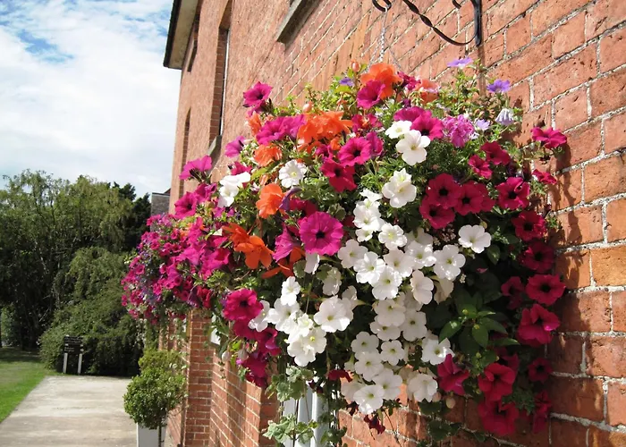 The Clive Arms Hotel Ludlow