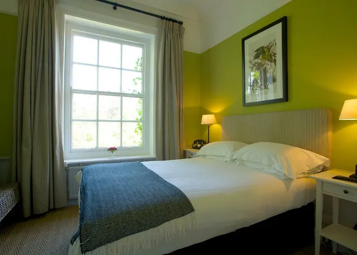Hotels in Sway