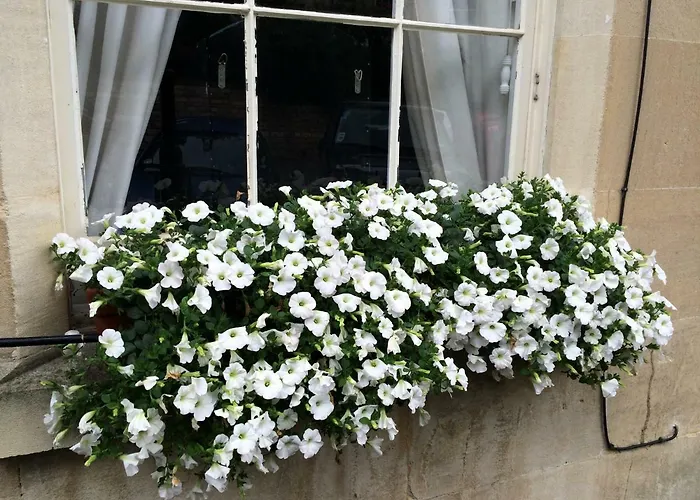 No 4 Ainslie'S Belvedere B&B Bath