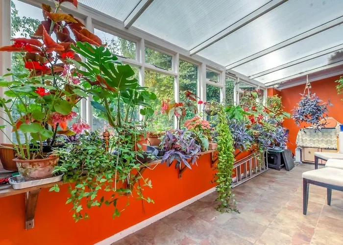 The Headington Shark House - Oxford Vila privado