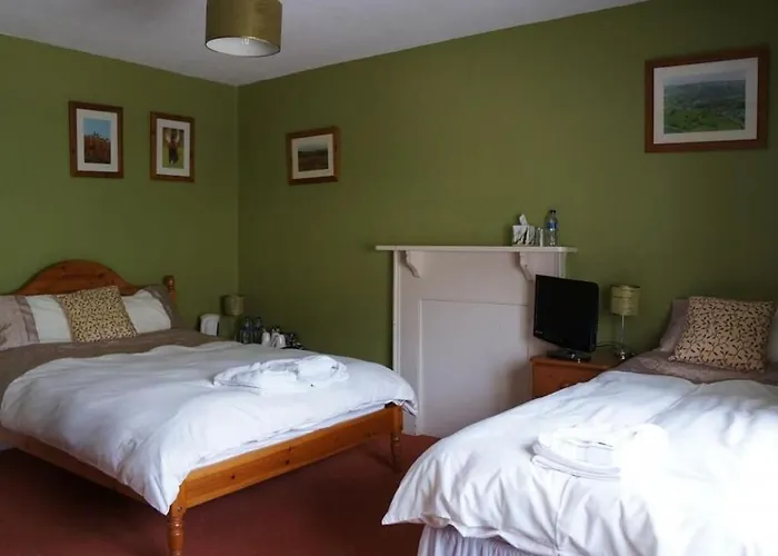 The Carew Arms Hotel Taunton